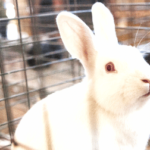 彼女を失いたくない男の行動8選！嫌われたくない男性心理とは？