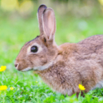 元彼を許すと本当のご縁を引き寄せられる。マイナスの感情を手放して幸せになろう