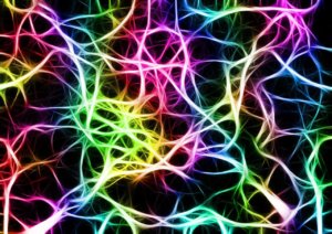 占い師の勉強したいと考える前にマインドセットを