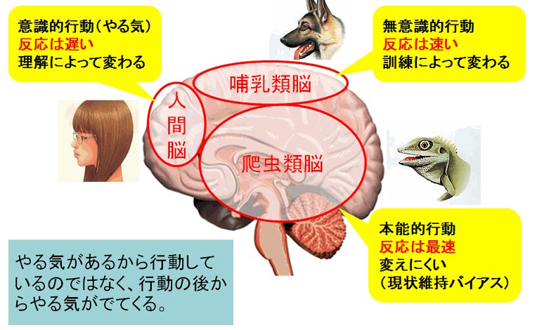 爬虫類脳などの説明